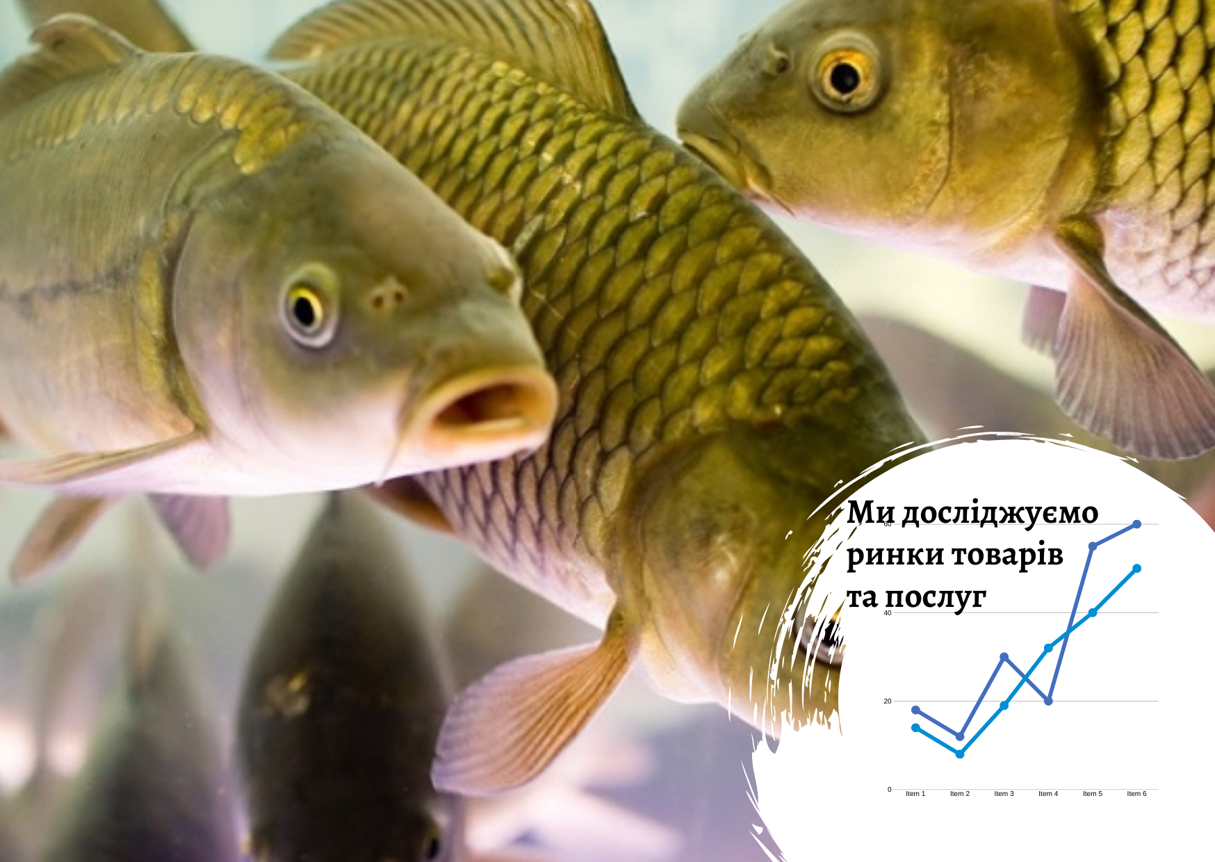 Ukrainian aquaculture and processed products market 
